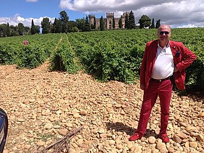 Wine Tour in the Heart of Provence, Small Group Experience
