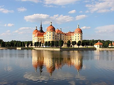 Dresden by Private Transfer with a Moritzburg Palace Stop