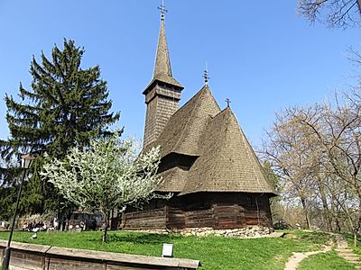 Traditions in Bucharest: Village Museum and Wine Tasting Private Tour