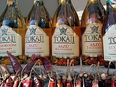 Private Day Trip to Tokaj with Wine Tasting and Lunch