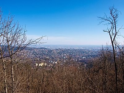 Hiking the Hills of Budapest
