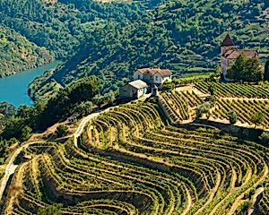 1 Night in Douro Valley