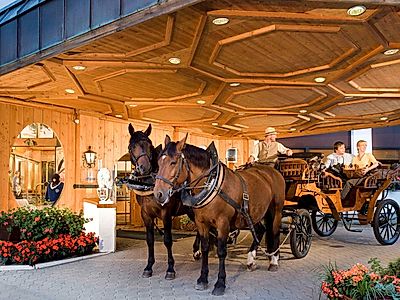 Private  Horse Carriage Ride