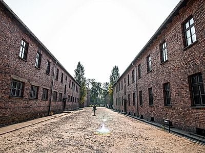 Auschwitz-Birkenau Group Tour with a Private Driver