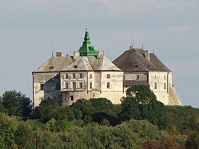 Castles around Lviv Private Tour
