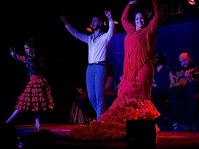 Flamenco Show 1911 Group Experience