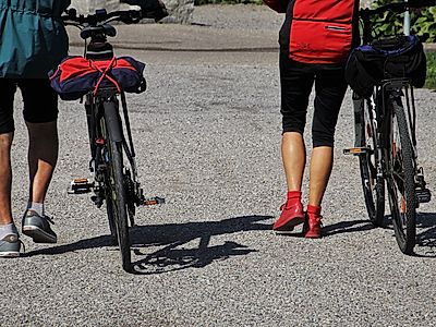 Explore Mljet National Park by Bike
