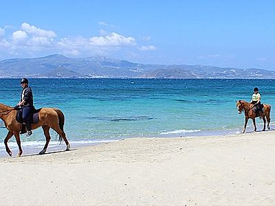 Naxos Horseback Small Group Tour