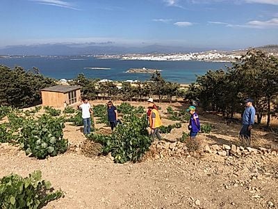 Petra Farm Private Tour and Tasting with Meal