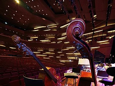 Enjoy Memorable Tunes at The Kodály Center