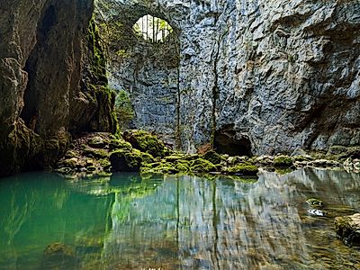 Skocjan Caves and Lipica Stud Farm Private Day Trip