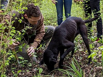 Adventure Truffle Hunting Private Tour