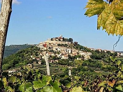 Istria in a Day Small-Group Tour