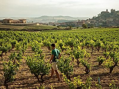 Private Wine Tour Day Trip to La Rioja