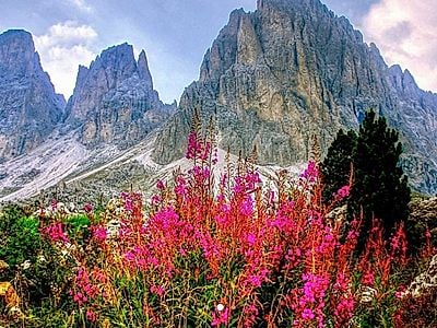 Cortina and Dolomites Private Day Tour