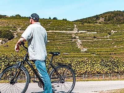 Wachau Winery Bike Group Tour