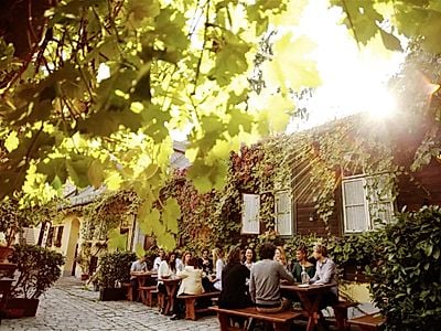 Vienna's Wine Taverns